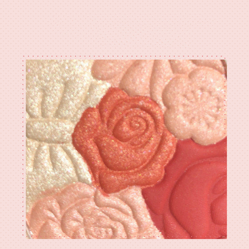 Makeup Blush Palette Natural Trim Highlighter All In One